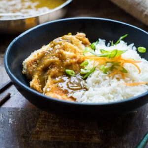 close-up image of Japanese tofu curry in a black bowl