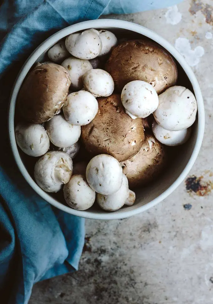 This Mushroom Fennel Ceviche is a vegan version of the traditional Peruvian fish ceviche. With japapeños and lemons, it is a perfect pickled snack or side.