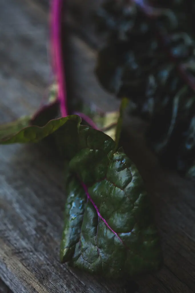 A close up image of cut rainbow chard. 