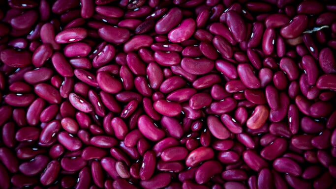 Close up image of red uncooked beans