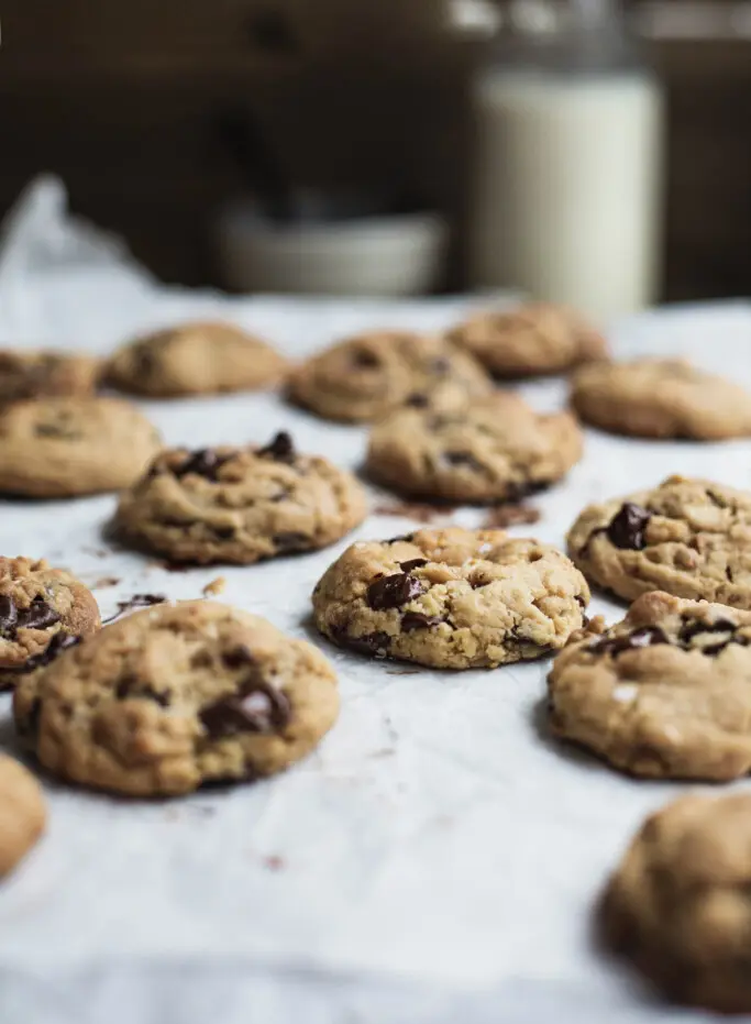 A front on image of rows of chocolate chip cookies with a bottle of milk in the background