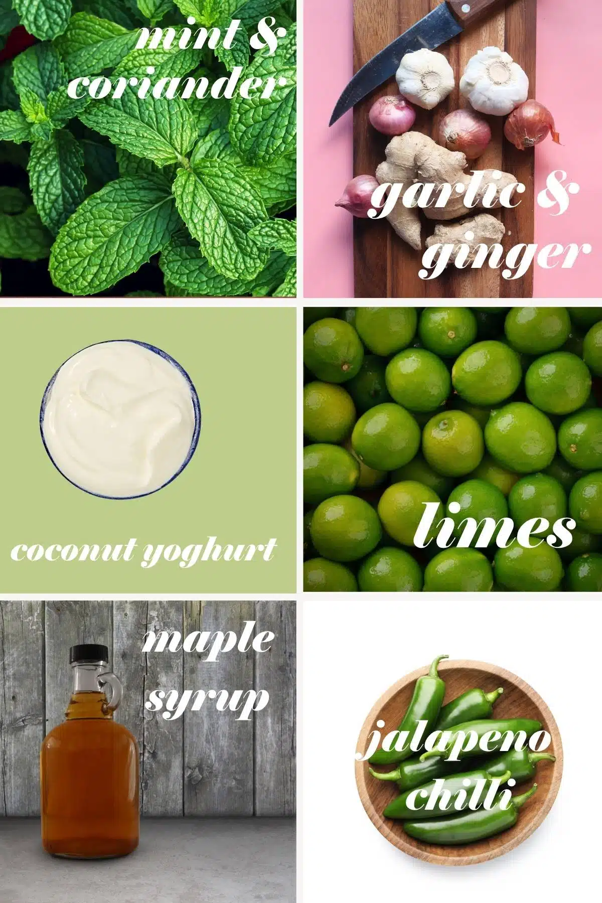 Pudina chutney ingredients in a grid with labels.