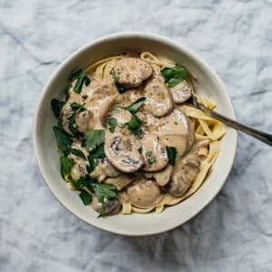 A bowl of stroganoff on a great napkin.