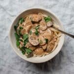 A bowl of mushroom stroganoff with pasta.