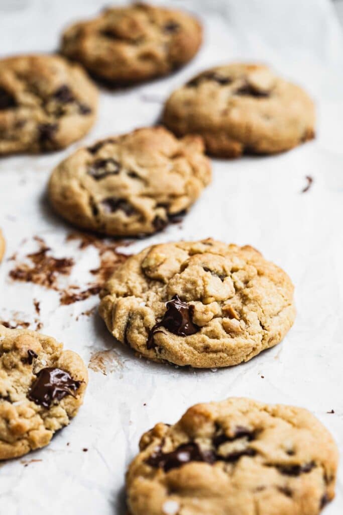 A close up image of chocolate chip cookies.