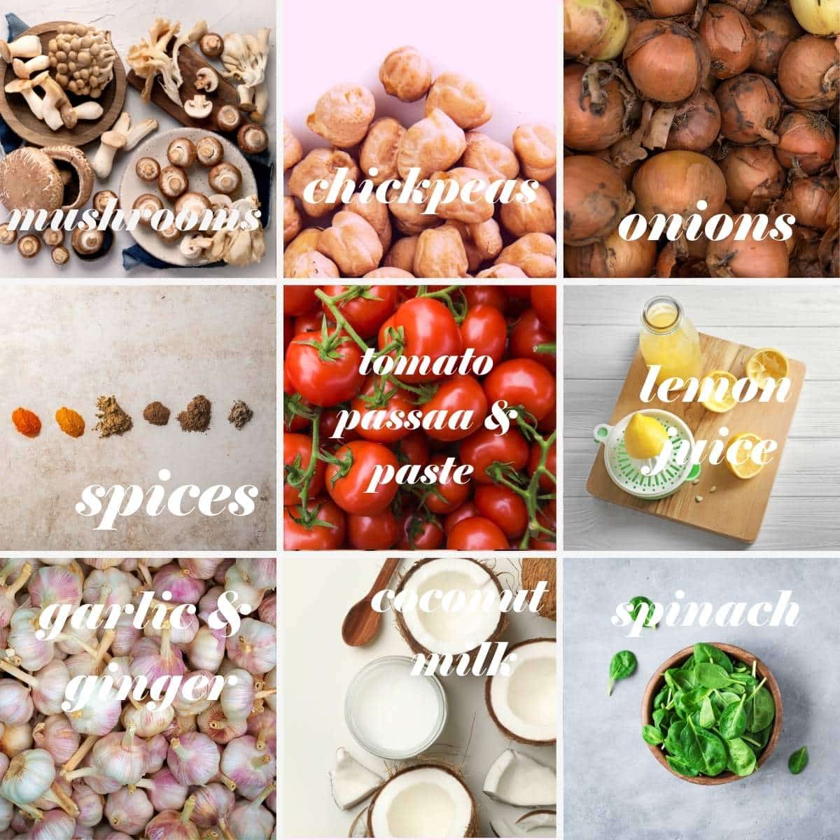 Mushroom curry ingredients in a grid with labels.