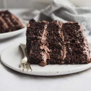 A slice of moist chocolate cake.