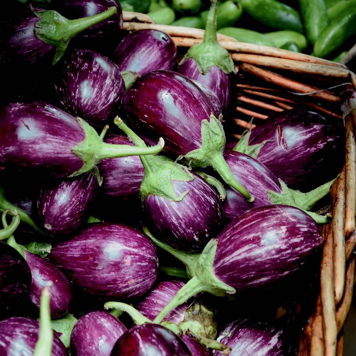 Eggplants in a basket.