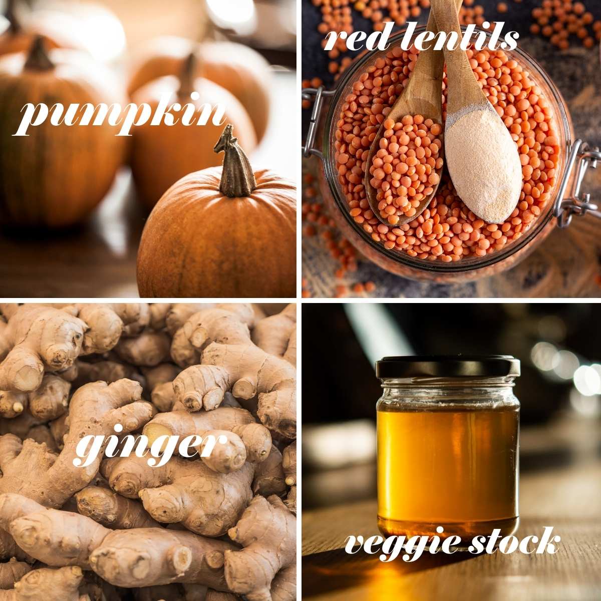 Pumpkin soup ingredients with labels. 