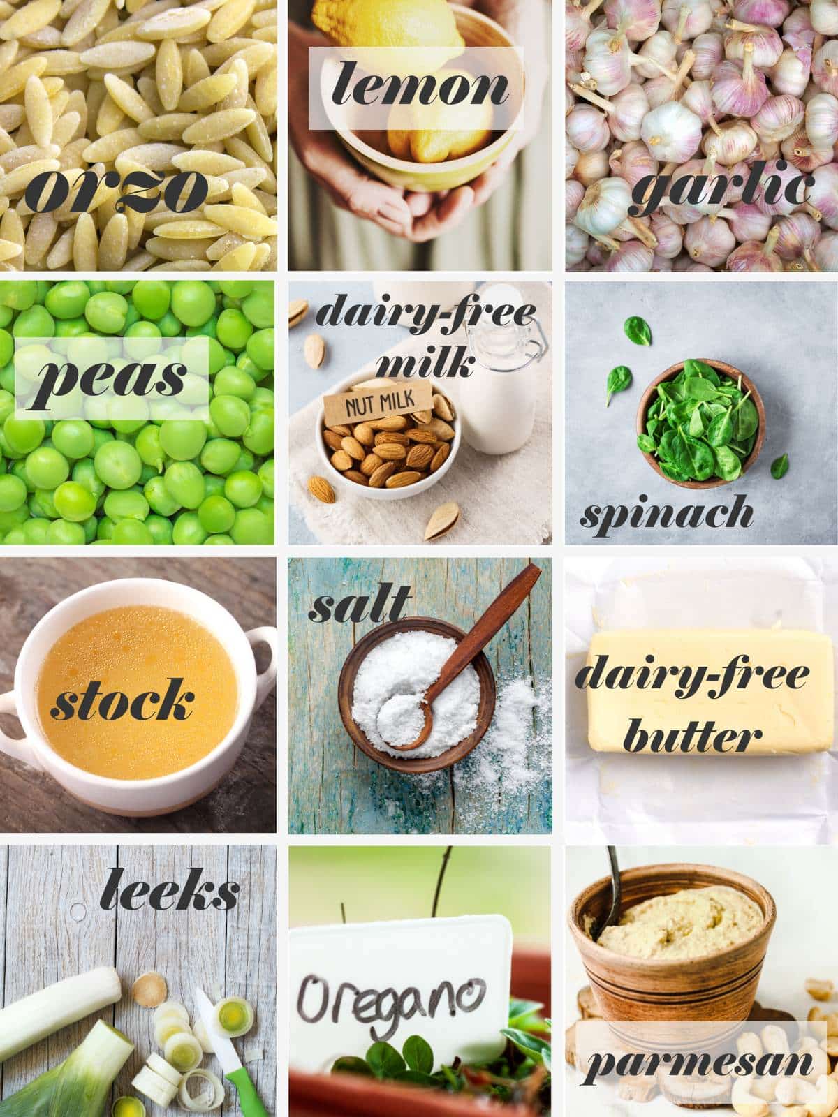Lemon orzo ingredients in a grid with labels.