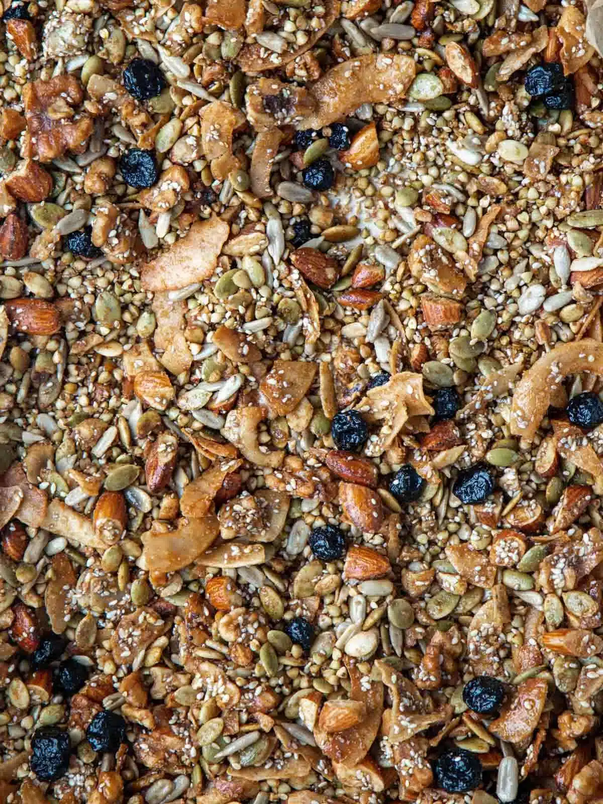Freshly baked granola with dried blueberries in a baking tray.