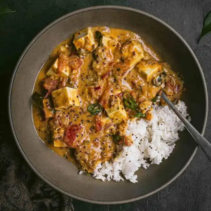 A bowl of curry with rice.