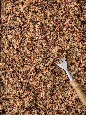 Cooked quinoa on a baking tray with a fork close up.